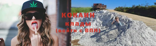 крисы Аркадак