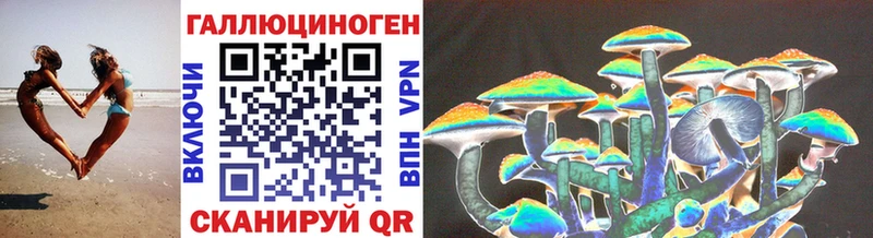 Галлюциногенные грибы Cubensis  купить наркотики сайты  Междуреченск 